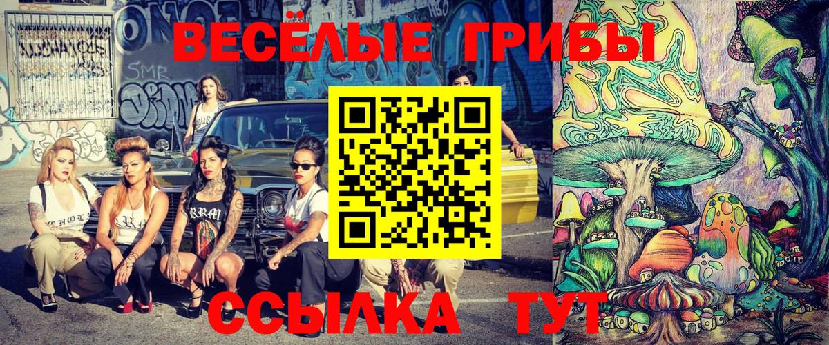 Псилоцибиновые грибы Cubensis  Вход с VPN  Скопин 