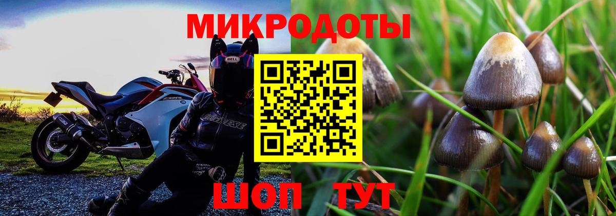 Псилоцибиновые грибы GOLDEN TEACHER Скопин